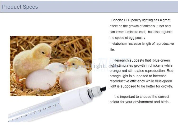 product-750-559 product-750-559