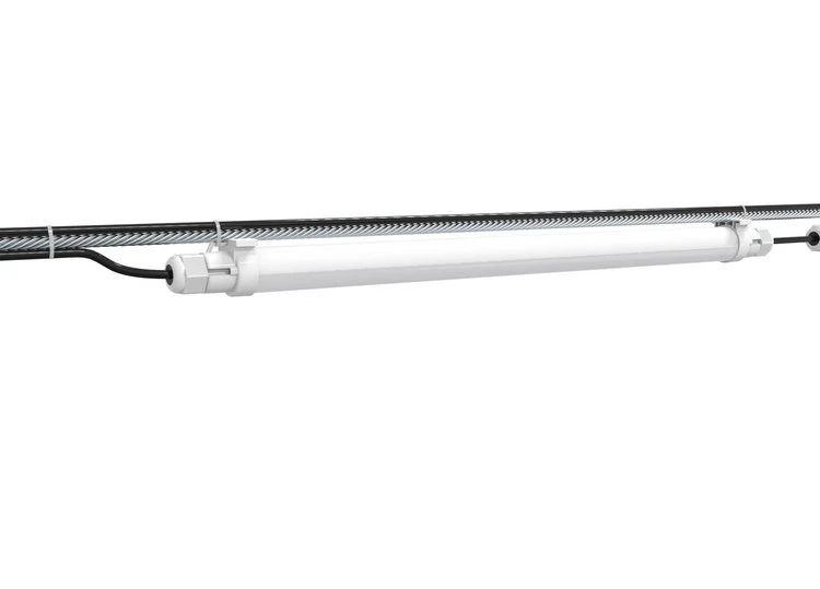 lighting for broilers