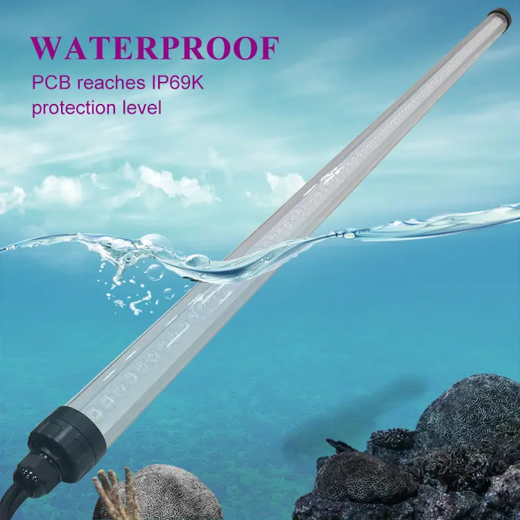 chicken light tubes7 chicken light tubes7