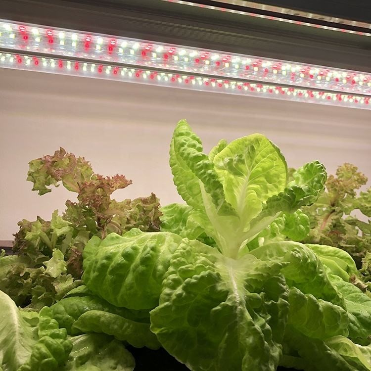 leds grow full spectrum leds grow full spectrum