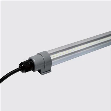 지도된 닭장 빛