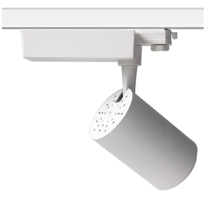 led food fresh meat track lights2