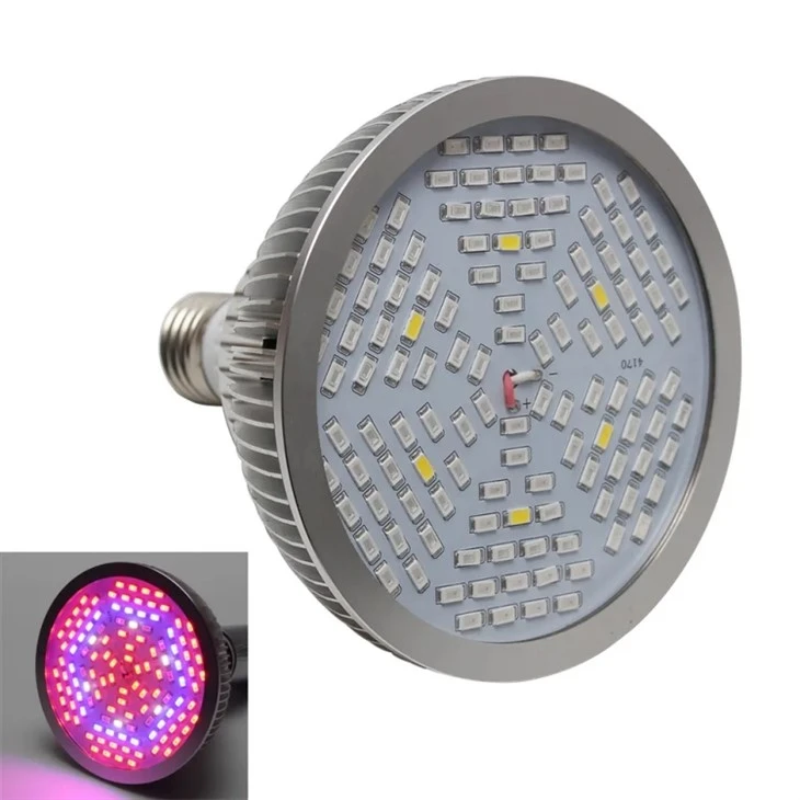 Daylight Spectrum Bulbs