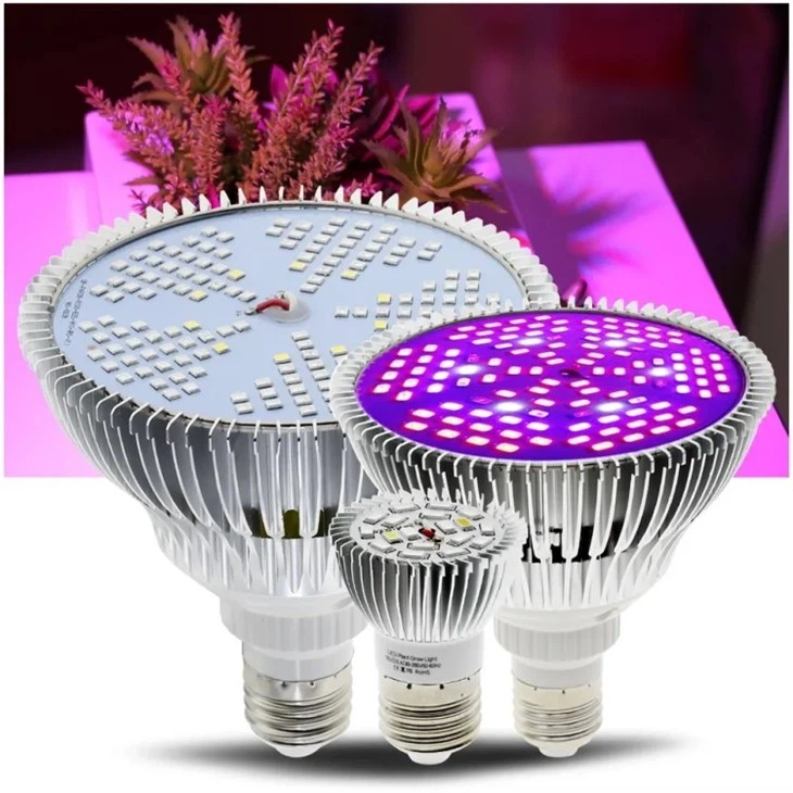 light bulbs good for plants