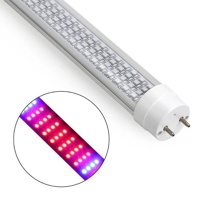 식물을 위한 전구 성장