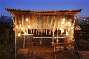 닭장의 겨울 조명
