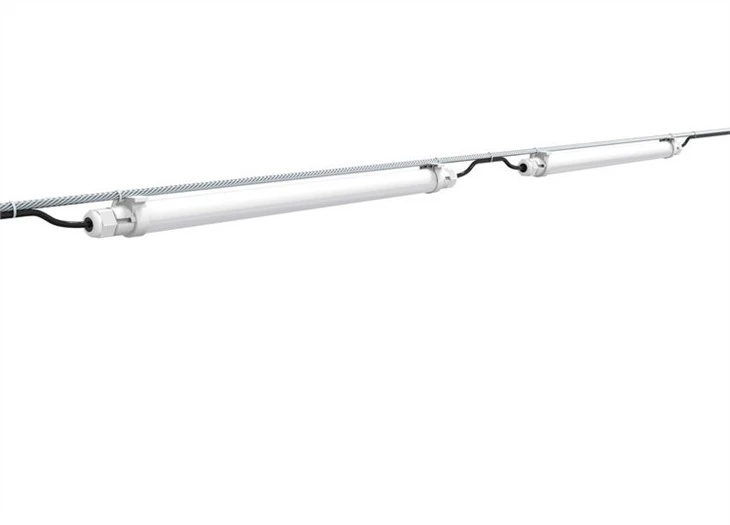 best light for chicken coop