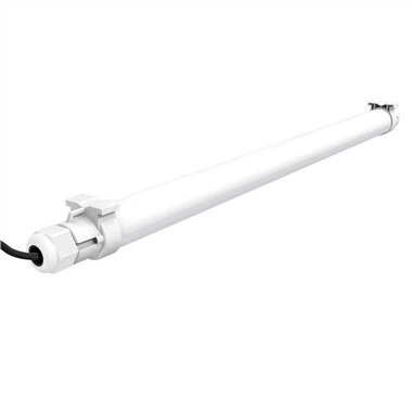 닭을 위한 우울한 빛