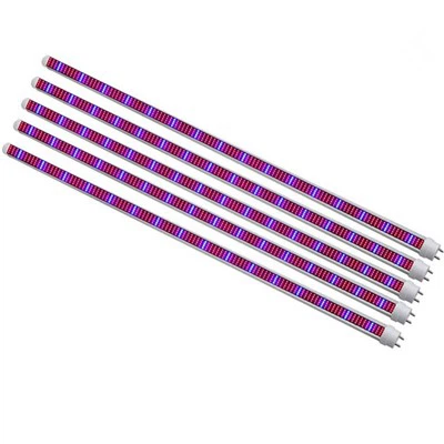 빛의 정원 키우기