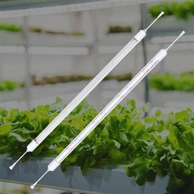 실내 정원 조명