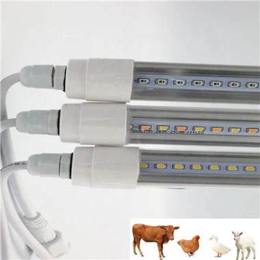 병아리를 위한 적외선 조명