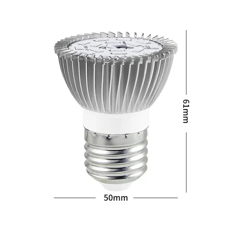 화이트 Led는 빛을 성장