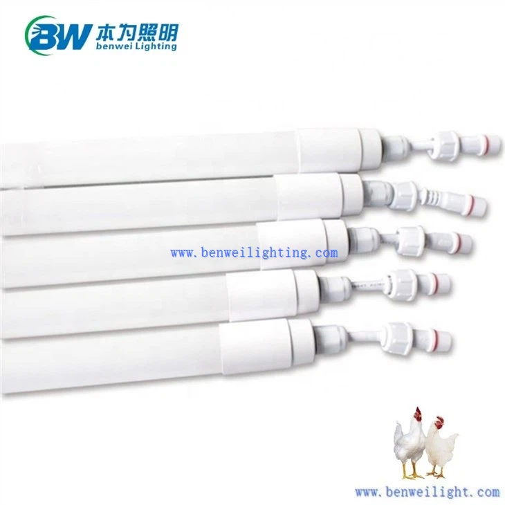 0-12V Dimmable 3000K 12W Chicken Light