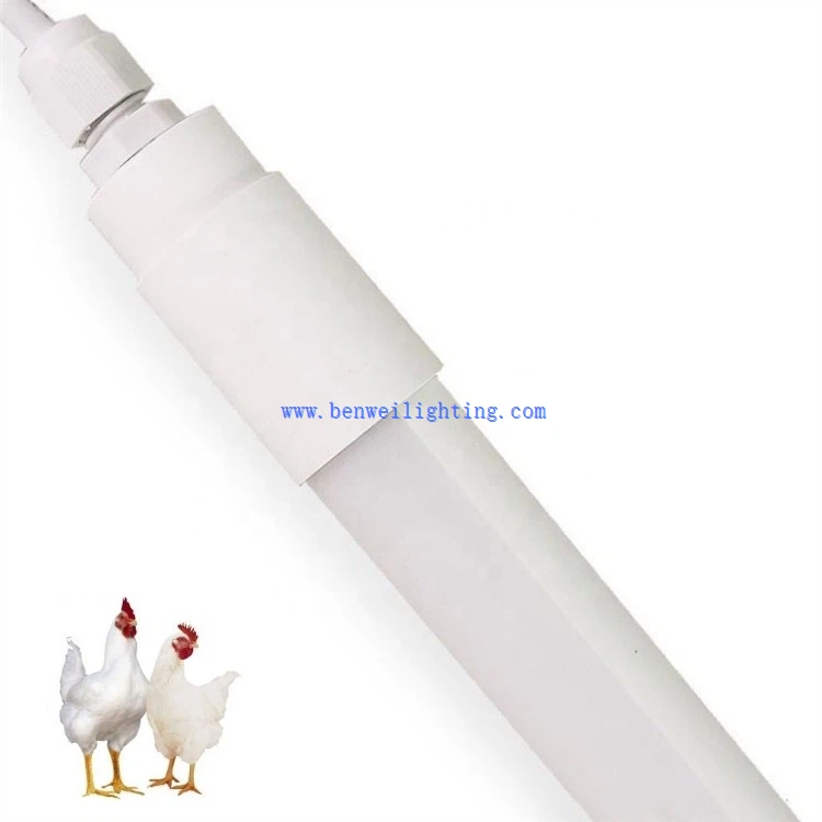 0-12V Dimmable 5100K 12W Chicken Light