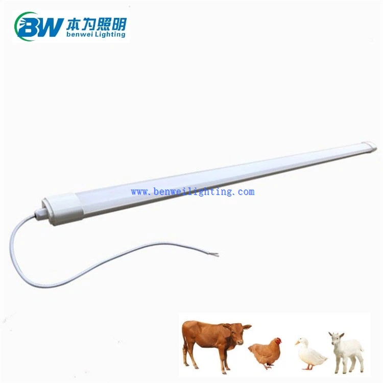 0-12V Dimmable 5100K 12W Chicken Light