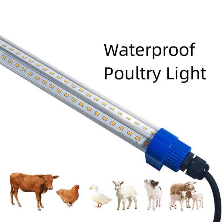 4ft 18W LED Poultry Light