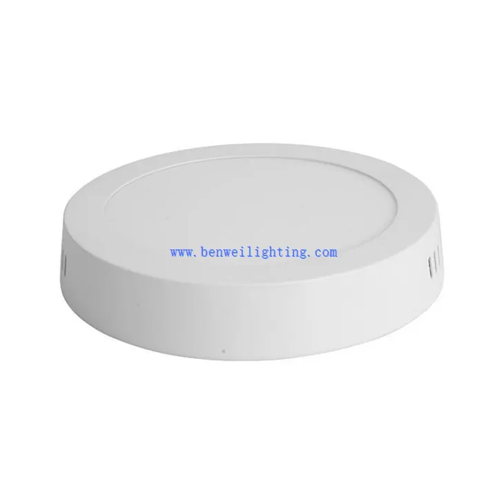 Disk-Shaped LED Light (1)