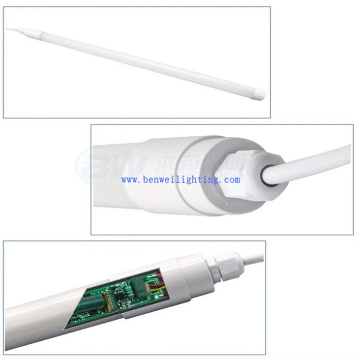 Egg Production Light (5)