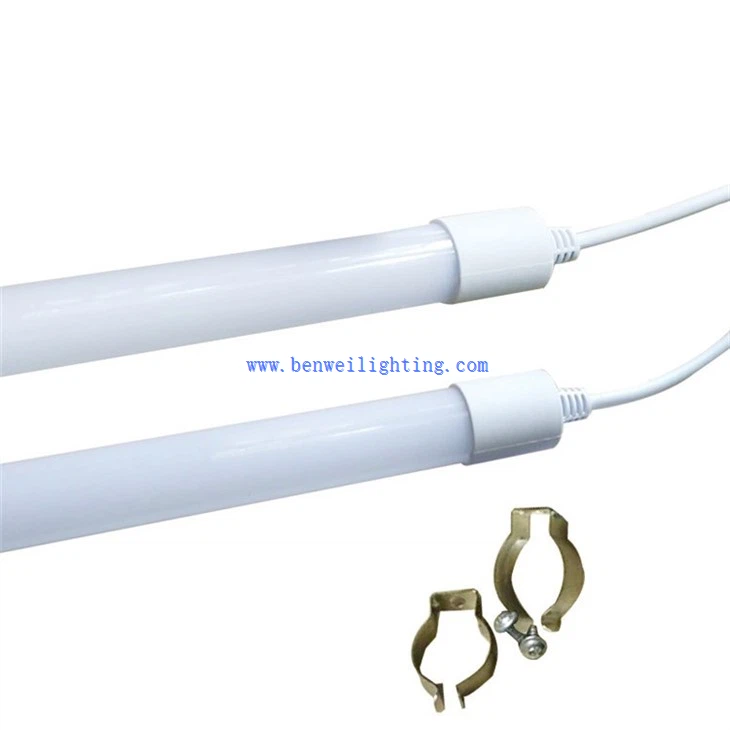 Egg Production Light (1)