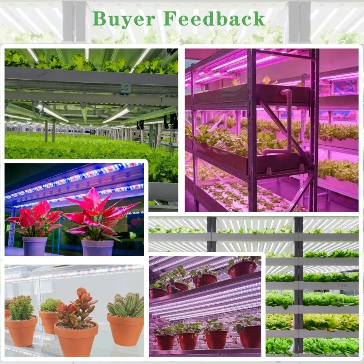Full Spectrum T8 Plant Lights Full Spectrum T8 Plant Lights