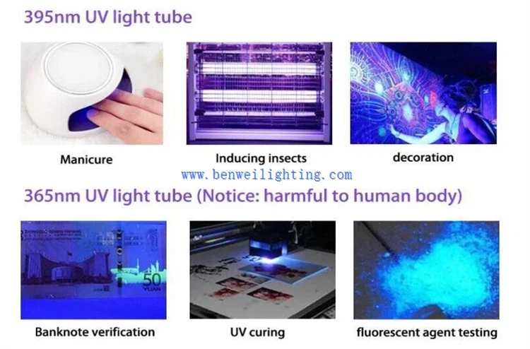 p20240604143704b1b6e p20240604143704b1b6e