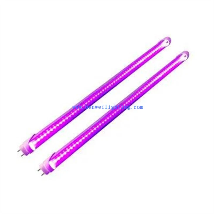 Insect Repellent Light  (5)