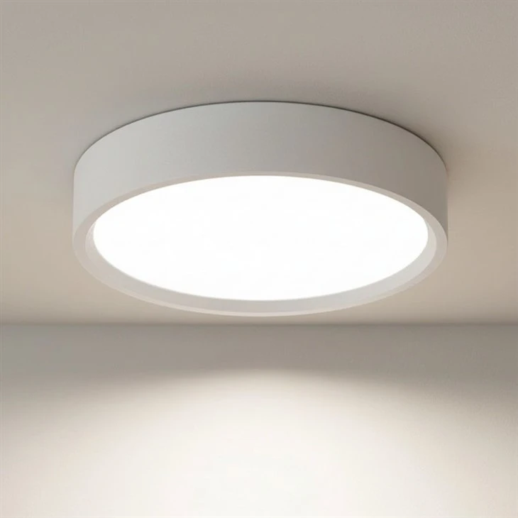 IP54 LED Down Lights For Ceiling best