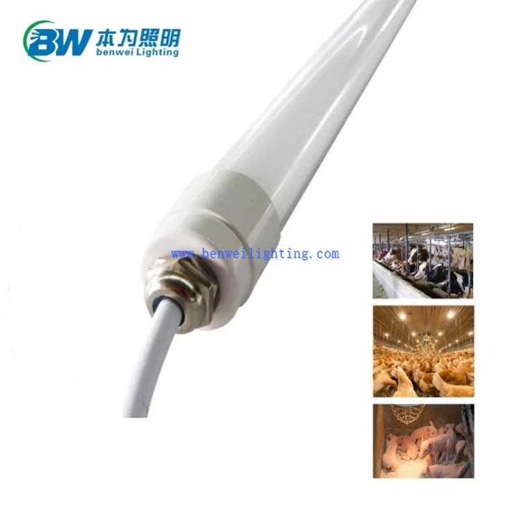 12v dc led tube light 4 feet