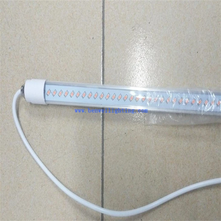 LED poultry lamp (5)