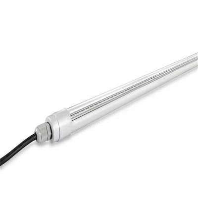 꽃이 피는 성장 조명