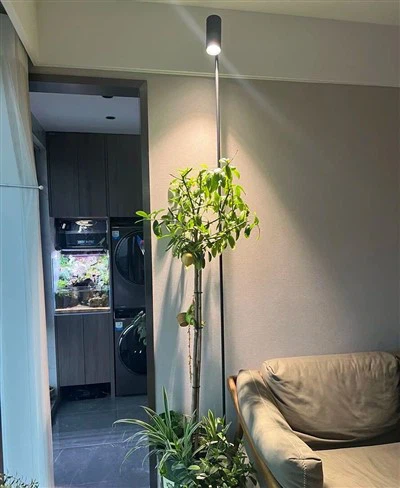 정원 조명 50000시간