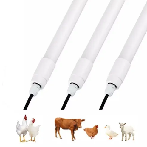 Waterproof LED Tube Used For Poultry Farm House